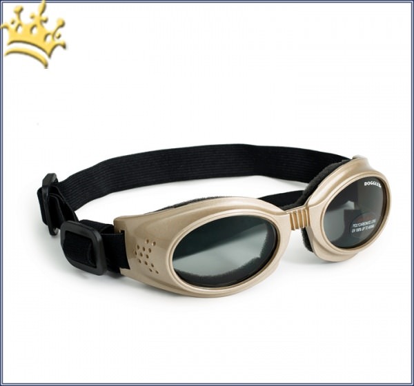 Doggles® Originalz Hunde-Sonnenbrille Goldfarbend