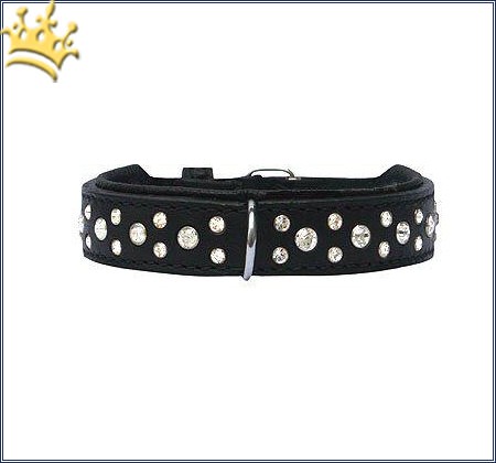 Hundehalsband Miami Black 20mm