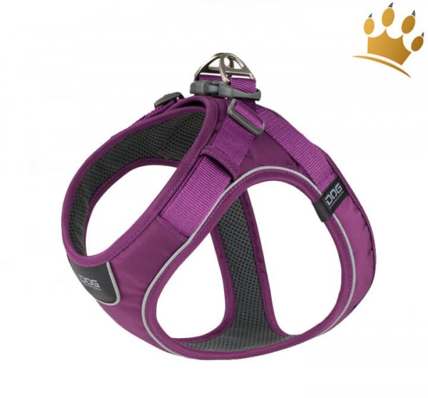 Dog Copenhagen Comfort Walk Go Purple Passion