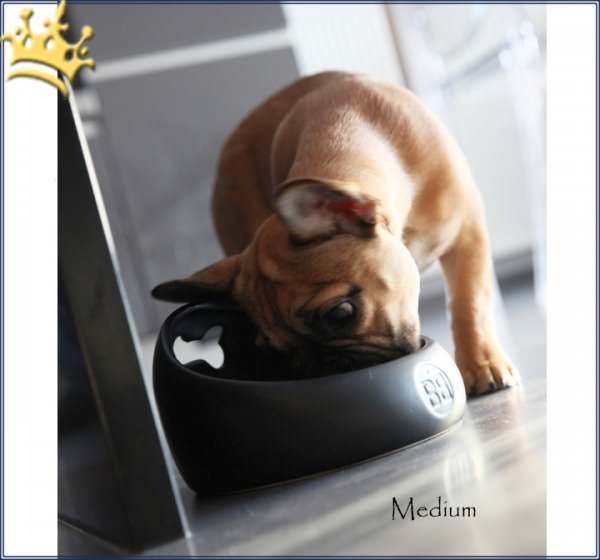 Hundefressnapf Gamelle Songe Bully Medium