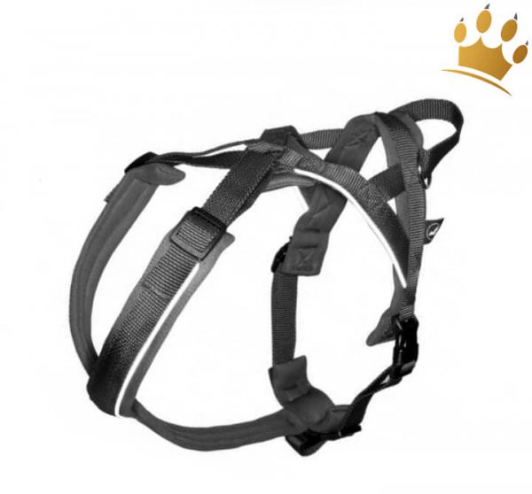 Jack B Norsteq Hundegeschirr Schwarz