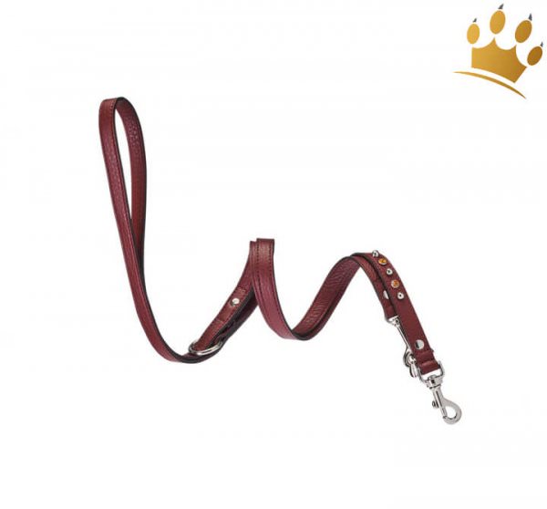 Malucchi Hundeleine Bright Braun