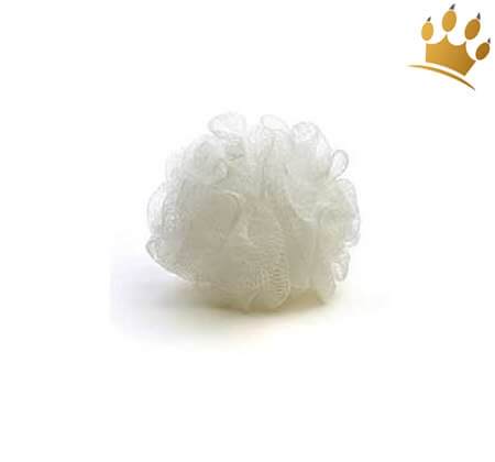 Bath Sponge