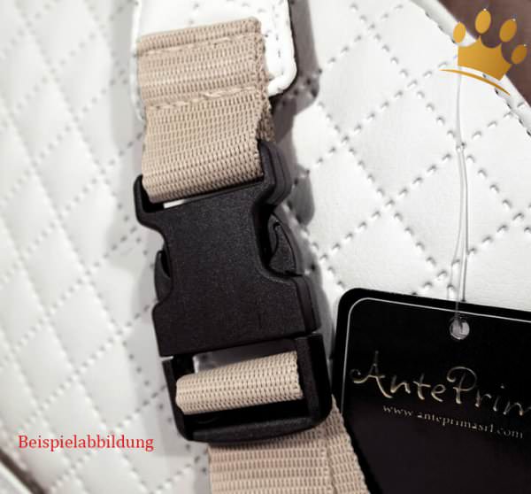 Hundetasche Dante Schwarz