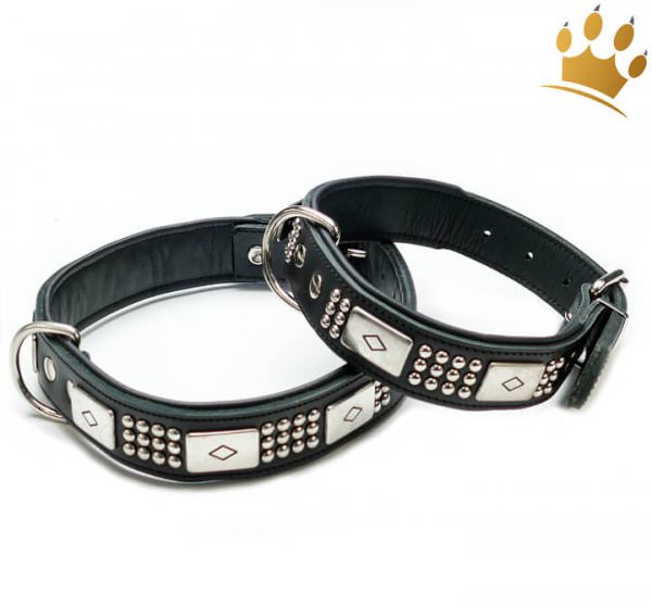 Hundehalsband Boston