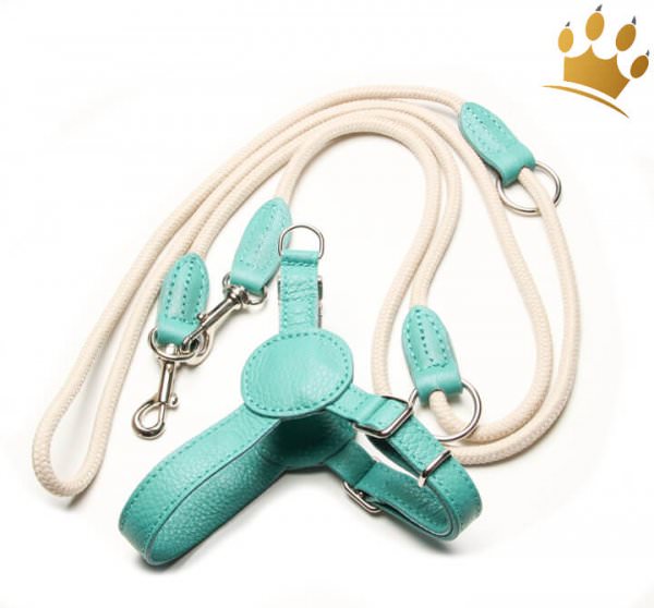 Malucchi Hundeleine Movie Nylon Beige/Türkis