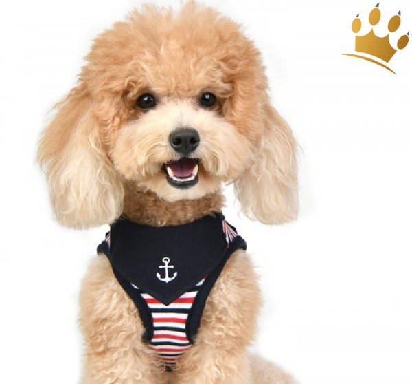Puppia Step In Hundegeschirr Seaman Blau