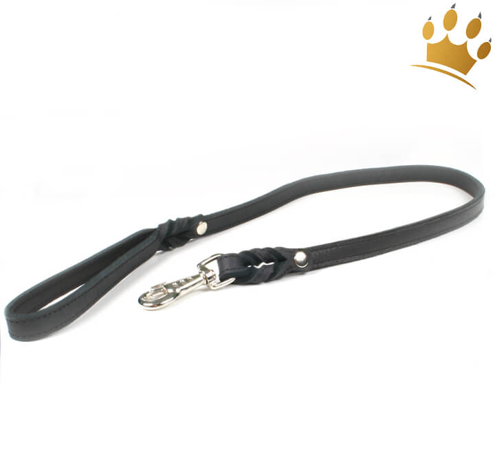 Guiding Star Leder-Hundeleine 1,8 M - Aus Weichem Rindsleder, Mit Messinghaken, Für Große Hunde