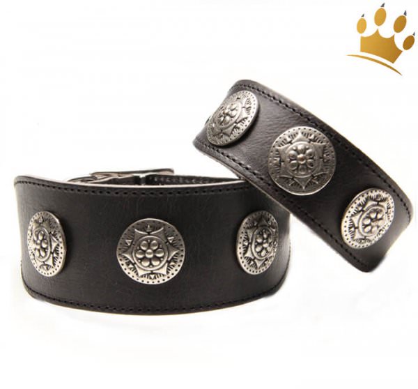 Hundehalsband Greyhound Pigall Schwarz