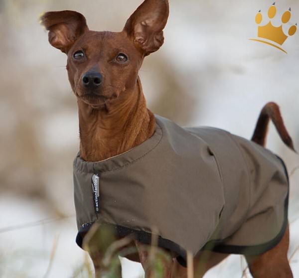 WarmUp Cape Wind & Rain Mini Oliv