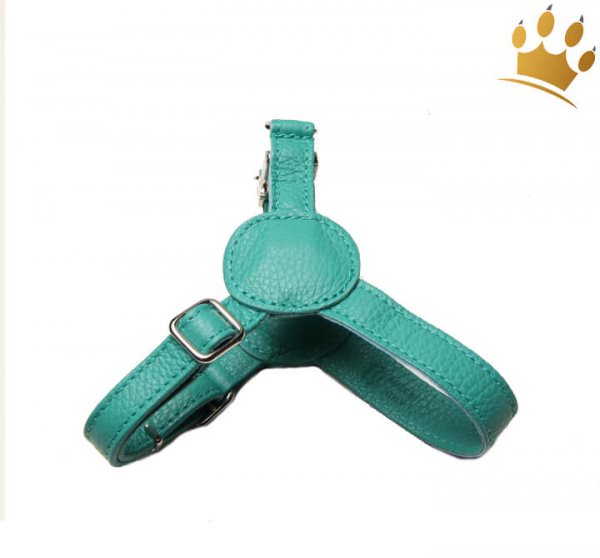 Malucchi Hundegeschirr Movie Türkis