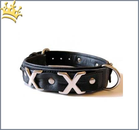 Hundehalsband Cross Over Schwarz