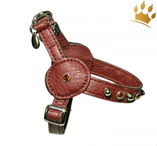 Malucchi Hundegeschirr Movie Bright Braun