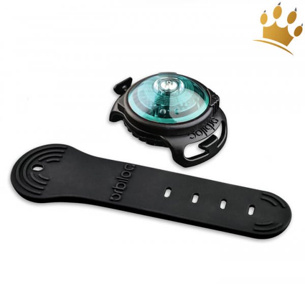Orbiloc Dog Dual Turquoise