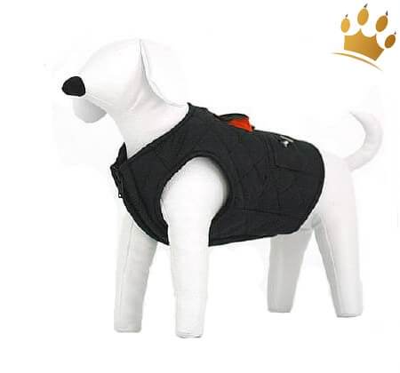 Hundejacke Rainwalker