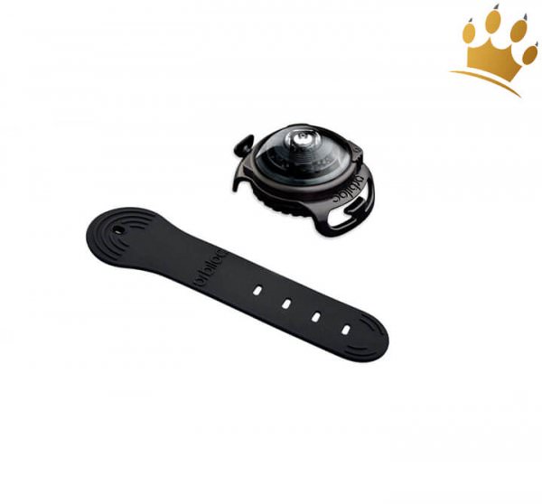 Orbiloc Leuchtbutton Dog Dual Dark