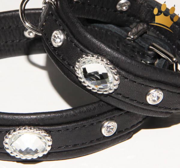 Hundehalsband Black Clear Thunder Petit