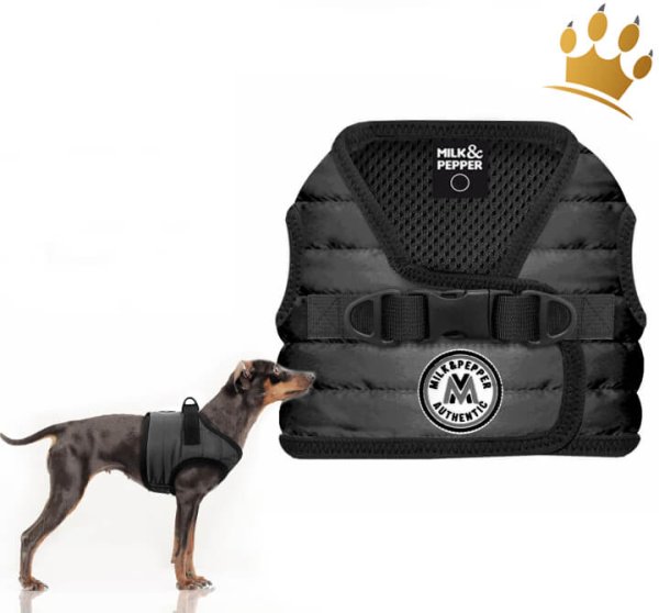 Milk & Pepper Musher Step In Hundegeschirr