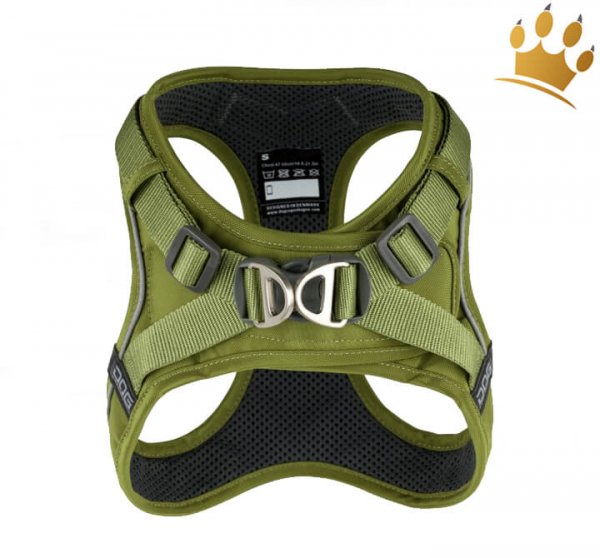 Dog Copenhagen Comfort Walk Go Hunting Green