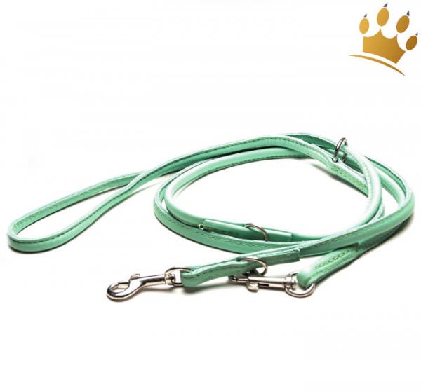 Hundeleine Summer Mint