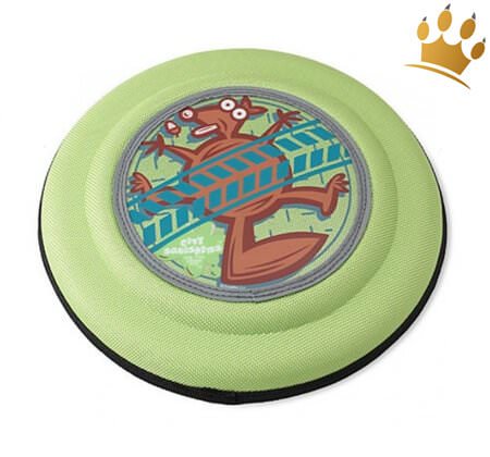 Hunde-Frisbee Crazy Eichhörnchen