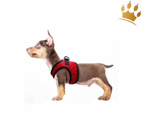 Milk & Pepper Step In Hundegeschirr Spinnaker Rot