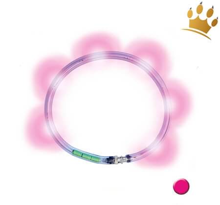 LumiVision® Hundeleuchthalsband Pink