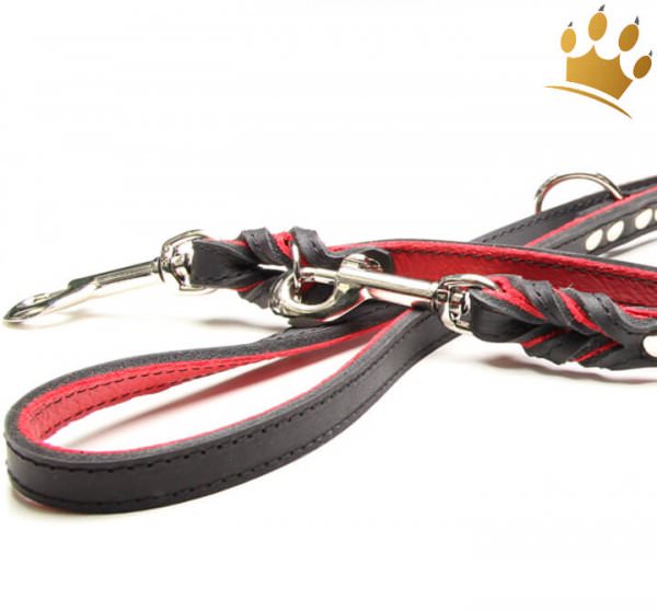 Hundeleine Silver Rot 200cm