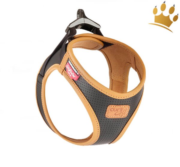 Curli© Geschirr Clasp Apfel Schwarz/Braun