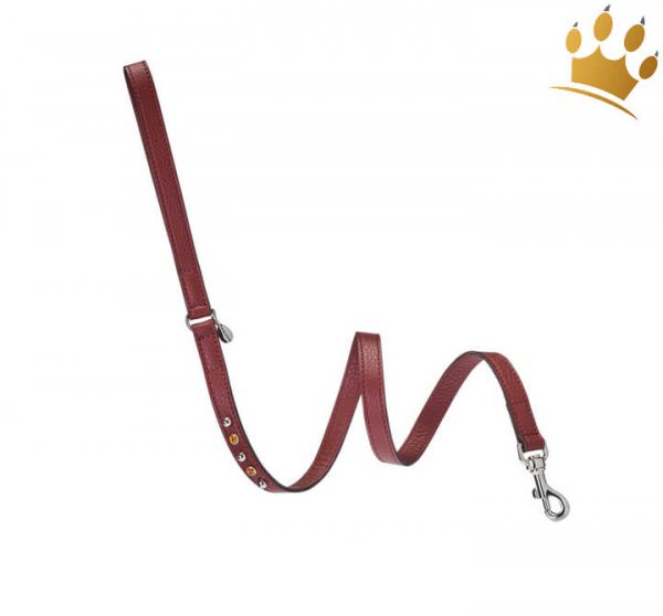 Malucchi Hundeleine Bright Braun