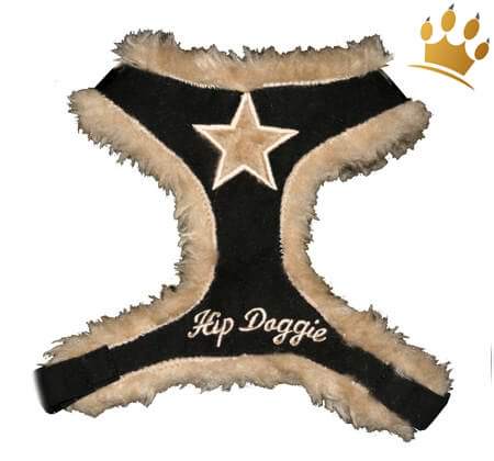 Softgeschirr Fur Black Star