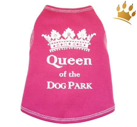Hunde Shirt Queen of the Dog Park