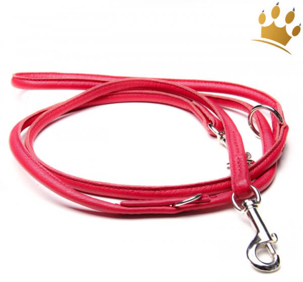 Hundelederleine Fresh Colour Rundgenäht 200cm