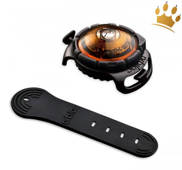 Orbiloc Leuchtbutton Dog Dual Amber