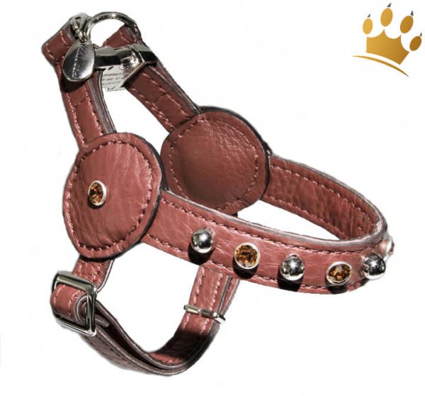 Malucchi Hundegeschirr Movie Bright Braun