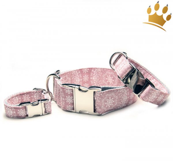 Hundehalsband Mandalas Rose