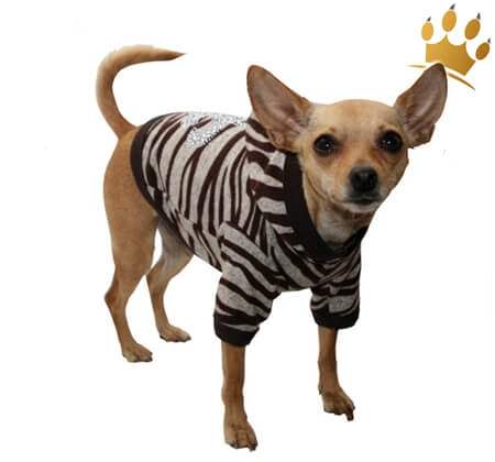 Hundesweater Soft Zebra
