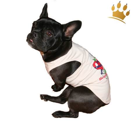 Hunde-Shirt Heartbreaker