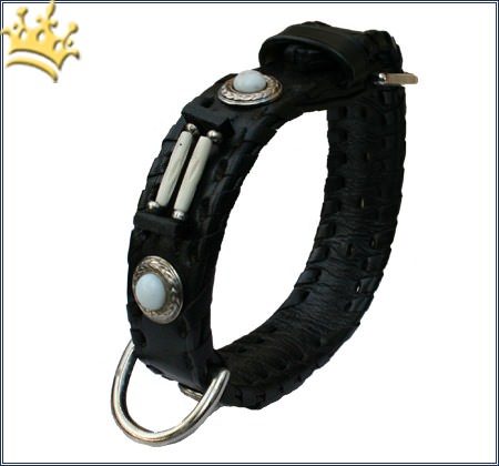 Hundehalsband Sioux