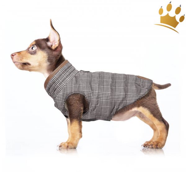 Milk & Pepper Hundemantel Cardfiff