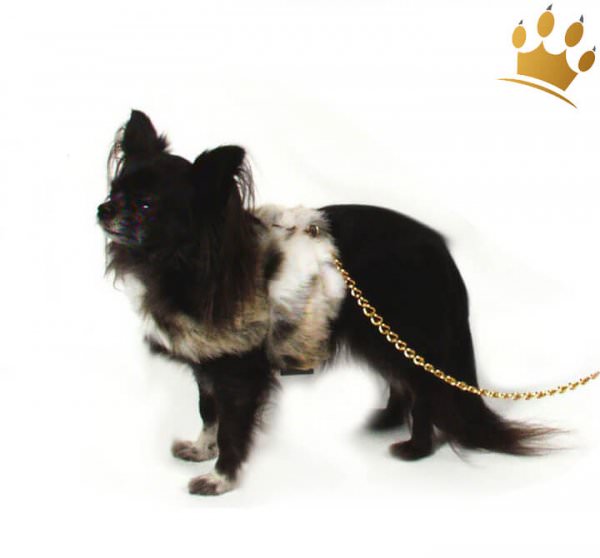 Hundesoftgeschirr Fell Beispielabbildung