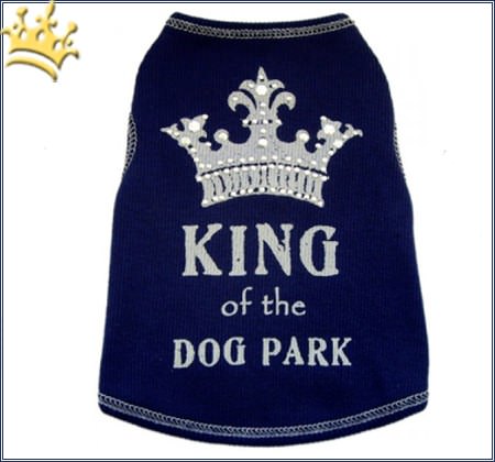 Hunde Shirt King of the Dog Park