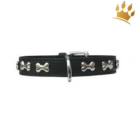 Hundehalsband Blinking Bones Black