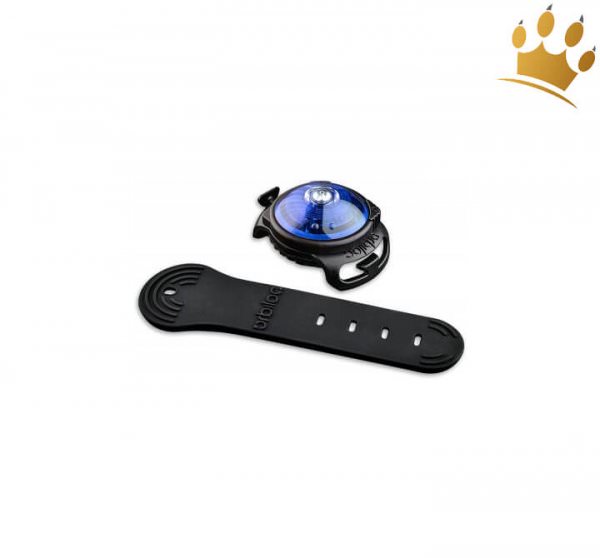 Orbiloc Leuchtbutton Dog Dual Blau