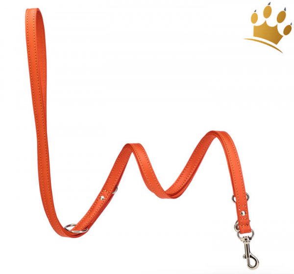 Malucchi Hundeleine Movi Orange