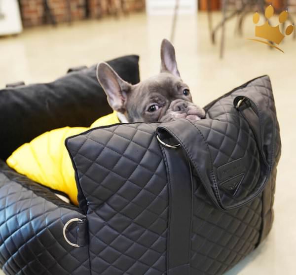 Puppy Angel Autositz 3WAY Anglione Schwarz