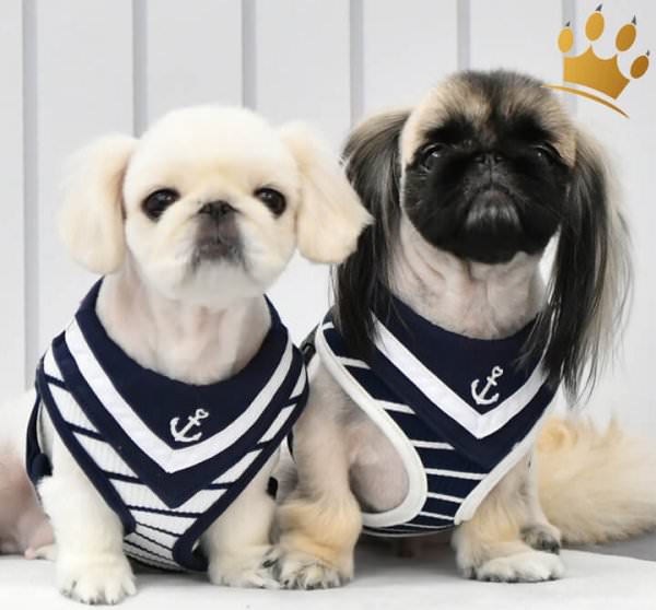 Softgeschirr Cordelia Creme