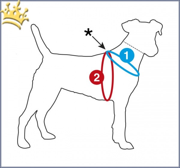 Curli Vest Hundegeschirr Merino Rot