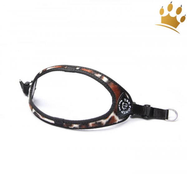 Tre Ponti Hundegeschirr Afrika Giraffe