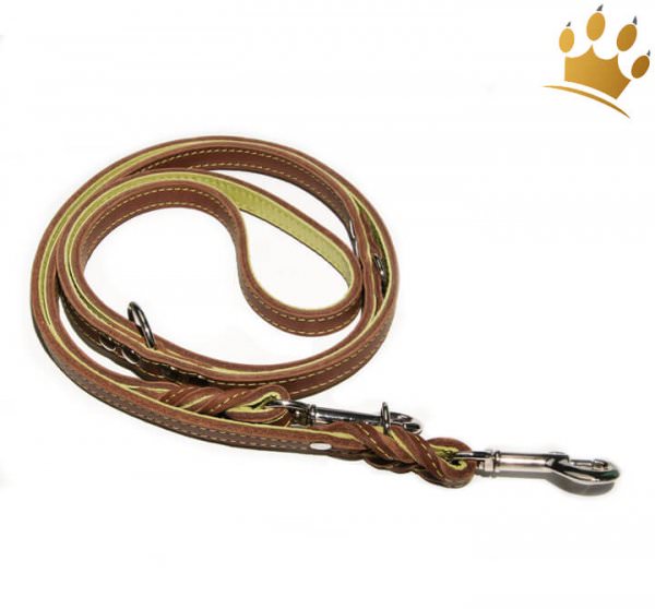 Hundeleine Tirol Braun/Pistazie 200cm